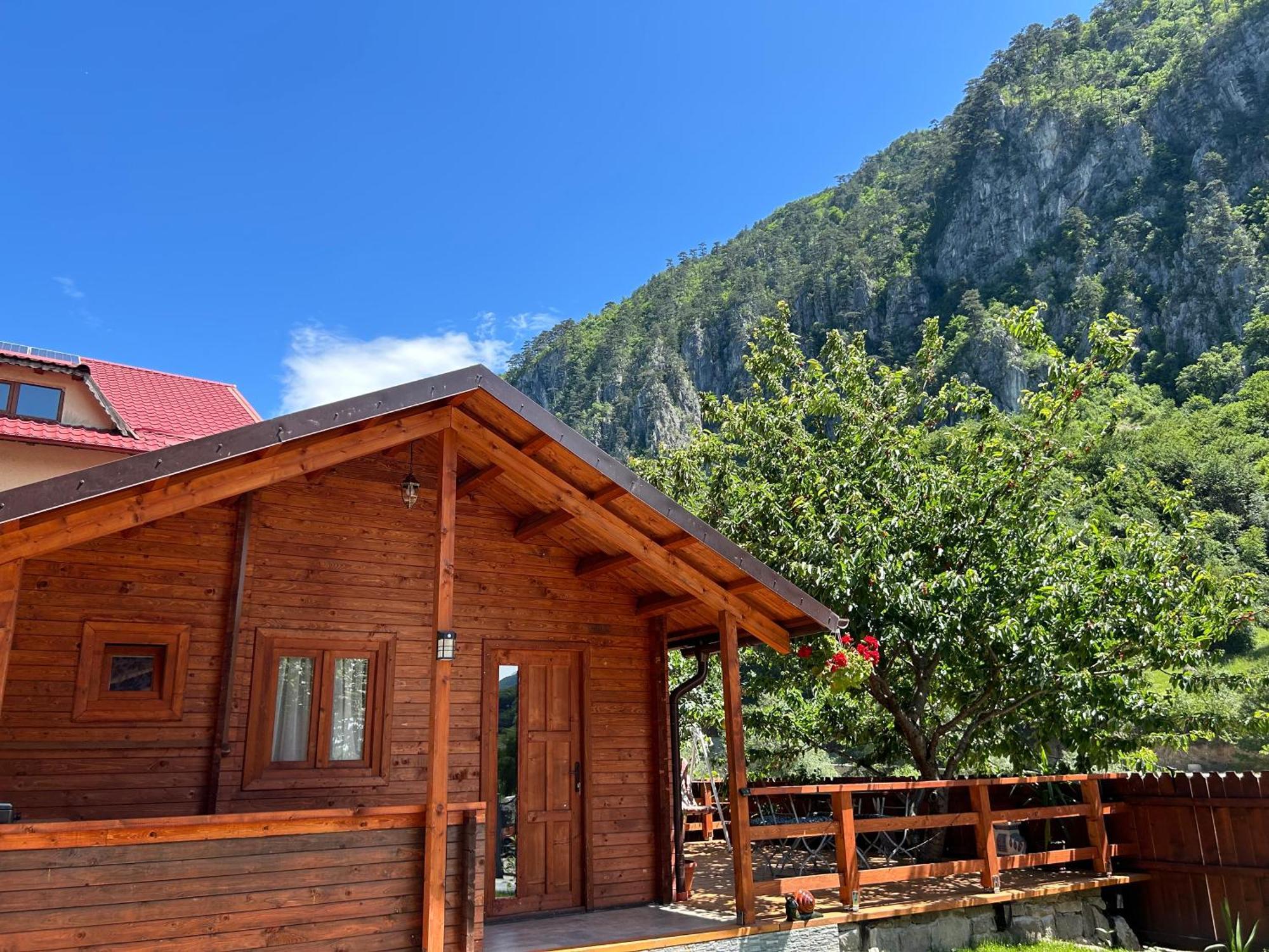 Elysium House * Baile Herculane